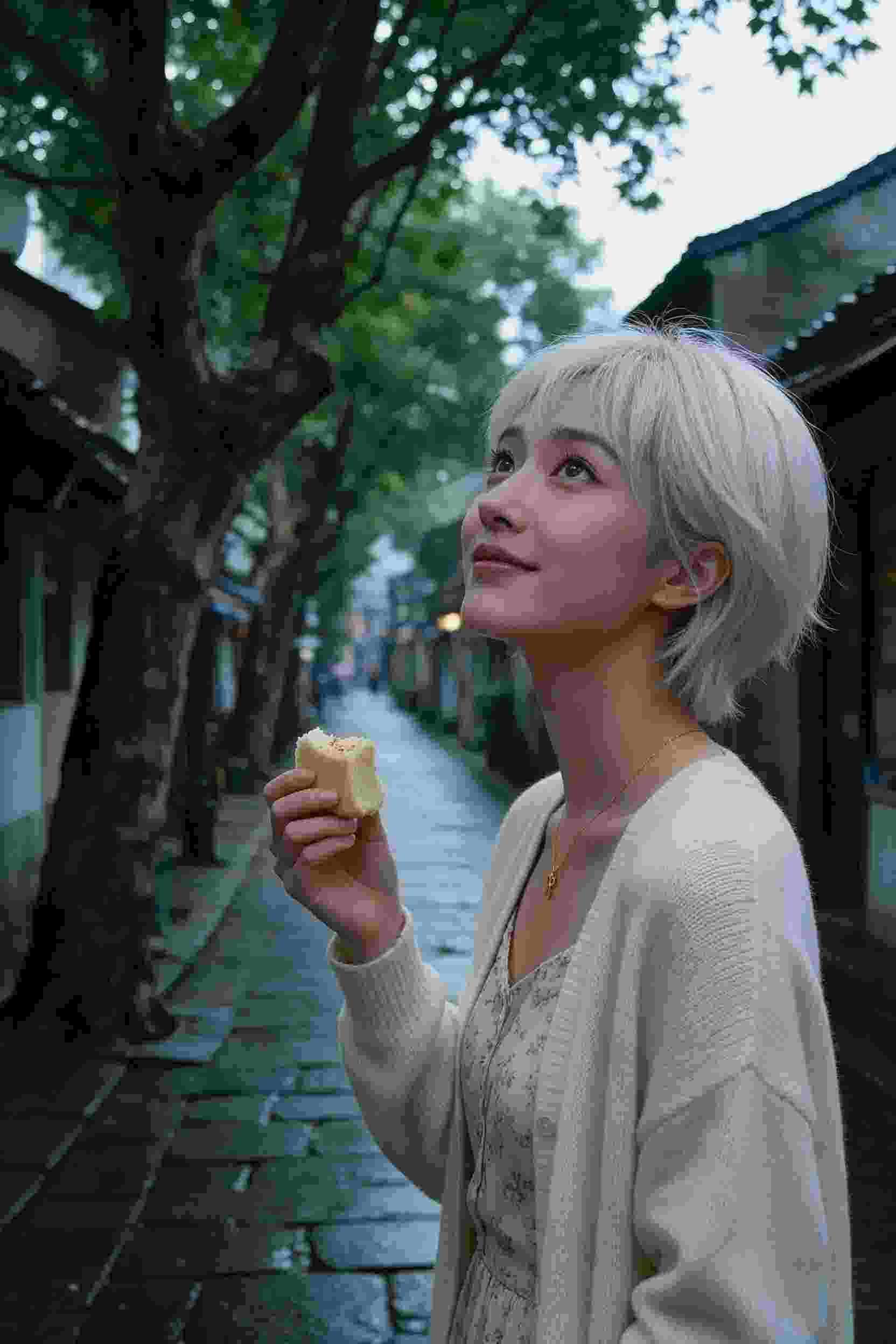 海贼王