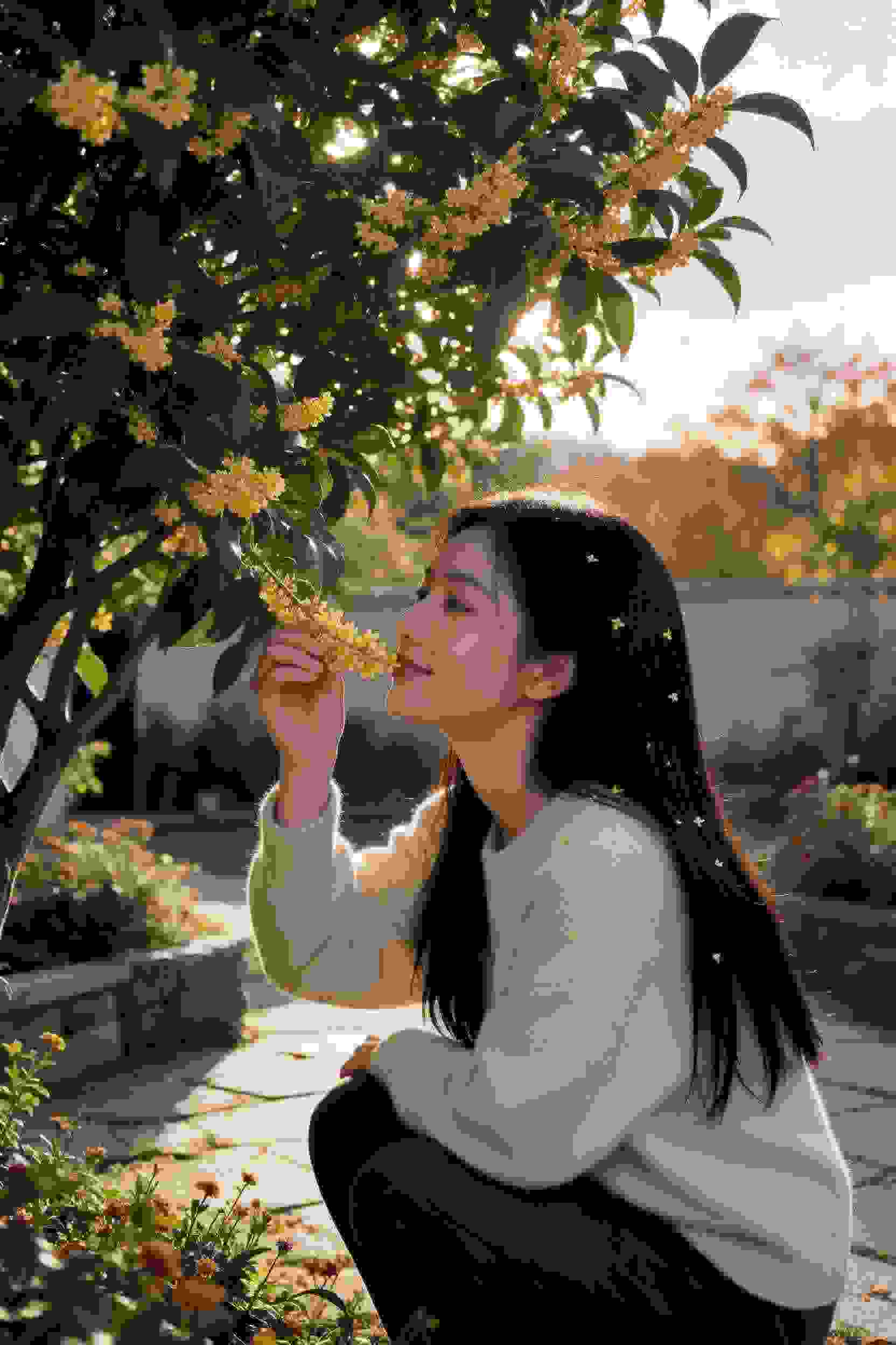 月色真美